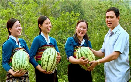 Mùa dưa hấu ngọt ở vùng biên xứ Thanh