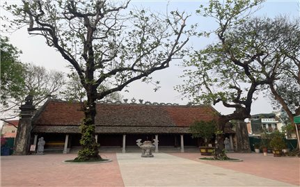 Vướng giải phóng mặt bằng, dự án Thái miếu nhà Hậu Lê gần 10 năm vẫn chưa về đích