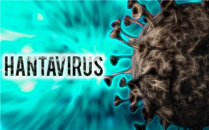 Virus Hanta là gì? Bộ Y tế cảnh báo nguy cơ lây nhiễm từ chuột