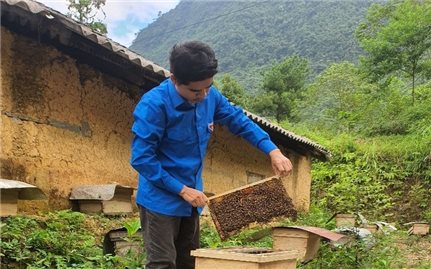 Hà Giang: Khát vọng khởi nghiệp, thoát nghèo của thế hệ trẻ