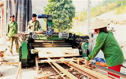 Bắc Giang: Tạo “cú hích” phát triển kinh tế cho đồng bào các DTTS