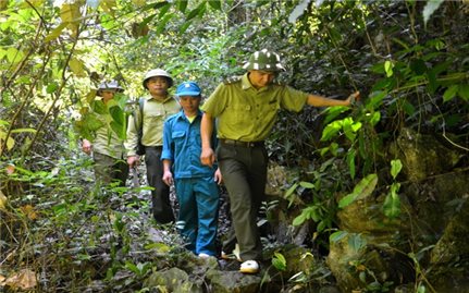 Chiêm Hóa (Tuyên Quang): Phát triển kinh tế gắn với bảo vệ rừng