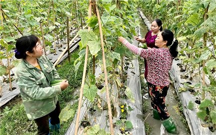 Sơn Dương (Tuyên Quang): Tiếp thêm động lực cho người dân thoát nghèo bền vững