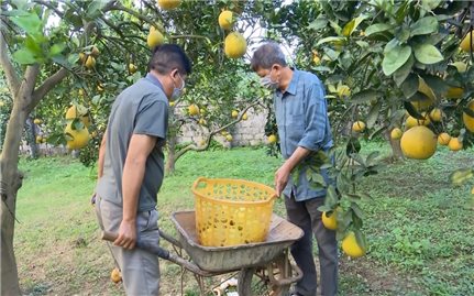 TP. Thái Nguyên: Thực hiện tốt chính sách dân tộc là ”chìa khóa” nâng cao đời sống cho đồng bào DTTS