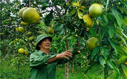 Yên Bái: Quyết tâm vượt qua khó khăn thực hiện mục tiêu giảm nghèo bền vững