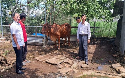 Bà Rịa - Vùng Tàu: Tập trung nguồn lực để giảm nghèo bền vững