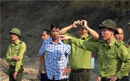 Yên Bái tăng cường công tác quản lý, bảo vệ rừng và phòng cháy chữa cháy rừng