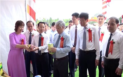 Yên Bái công nhận thêm 12 sản phẩm OCOP 3 sao