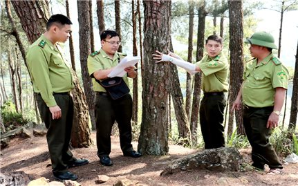 Hà Giang: Tích cực tuyên truyền về chính sách chi trả dịch vụ môi trường rừng