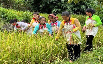 Độc đáo Lễ hội “Mừng lúa mới” ở huyện vùng cao Nậm Nhùn