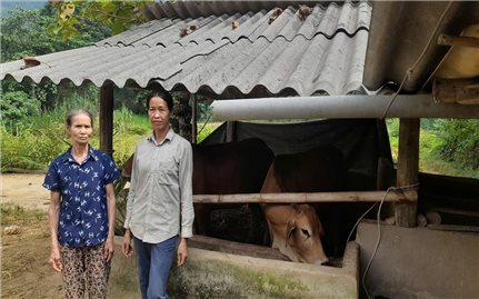 Yên Sơn (Tuyên Quang): Nữ Tổ trưởng tổ Tiết kiệm và vay vốn tận tâm, trách nhiệm với công việc