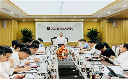 Đảng ủy Agribank tổ chức Hội nghị Ban Chấp hành Đảng bộ sơ kết 6 tháng đầu năm, triển khai nhiệm vụ 6 tháng cuối năm 2024