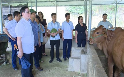 Đồng Hỷ (Thái Nguyên) quan tâm thực hiện hiệu quả chính sách giảm nghèo