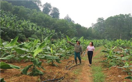 Sơn Dương (Tuyên Quang): Tín dụng chính sách tiếp sức xây dựng nông thôn mới