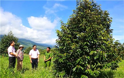 Đắk Lắk: Nguồn tín dụng ngân hàng chính sách xã hội trở thành cơ hội mới cho người chấp hành xong án phạt tù