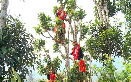 Tuyên Quang: Đẩy mạnh phát triển các mô hình sản xuất, chăn nuôi theo chuỗi giá trị