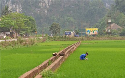 Tân Lạc (Hòa Bình): Tập trung tối đa nguồn lực xây dựng nông thôn mới