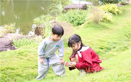 Luật Dân số - nền tảng pháp lý cho công tác dân số trong giai đoạn mới