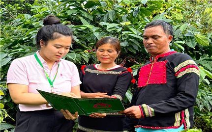 Tín dụng chính sách tạo đòn bẩy phát triển kinh tế cho người dân xã Krông Năng