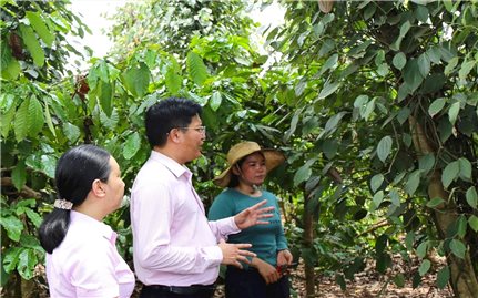 Đắk Nông: Hiệu quả thực hiện tín dụng chính sách xã hội