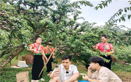 Chuyển đổi số – bước đột phá của kinh tế hợp tác Sơn La