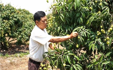 Phát triển sản xuất nông nghiệp tạo động lực xây dựng nông thôn mới ở Hòa Sơn