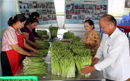 Tháo “nút thắt” để HTX vùng DTTS bứt phá