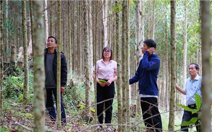 Từ vùng khó vươn mình mạnh mẽ nhờ nguồn vốn tín dụng chính sách