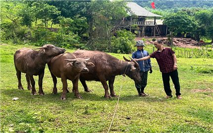 NHCSXH tiếp sức bản Ploang: Vốn nhỏ góp giấc mơ thoát nghèo lớn