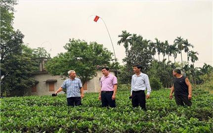 Thái Nguyên: Người có uy tín tiên phong, lan tỏa sức mạnh đồng thuận ở xóm Đạt