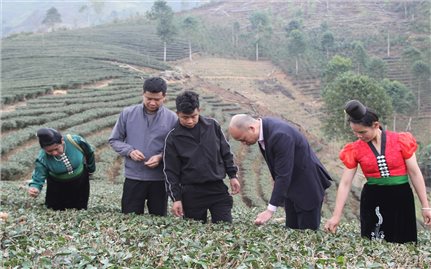 Tín dụng chính sách sát cánh cùng nông dân nghèo nơi vùng đất Thuận Châu