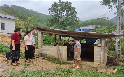 Trao “cần câu” cho người nghèo: Hướng đi bền vững từ mô hình hỗ trợ trâu sinh sản