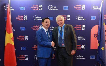 Đẩy mạnh, làm sâu sắc khuôn khổ đối tác và hợp tác toàn diện Việt Nam-EU