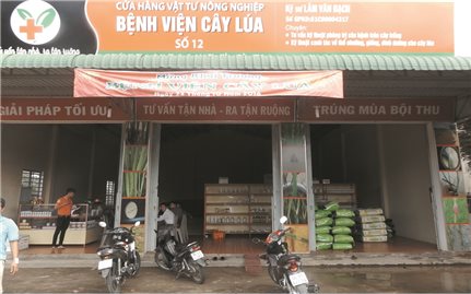 “Bệnh viện” dành cho cây lúa