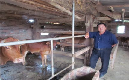 Phát triển kinh tế trang trại ở Quảng Trị: Người nông dân còn đơn độc