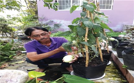Ông giáo đam mê hoa kiểng lạ