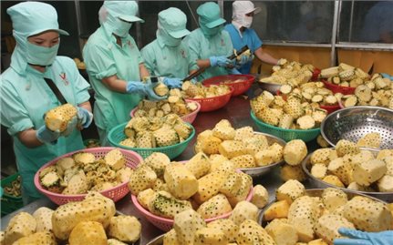 Thuế nhập khẩu về 0%: Cơ hội trong thách thức cho nông sản Việt Nam