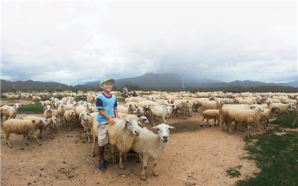 An toàn thực phẩm vùng DTTS và Miền núi: Vấn đề đang bị bỏ ngỏ