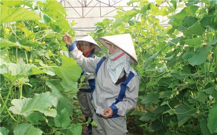 Tây Bắc đang vượt ra “lõi nghèo”