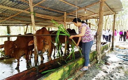 Giảm nghèo bền vững: Nhiều kỳ vọng trước thềm năm mới