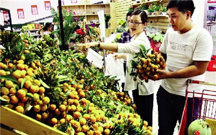 Kết nối thương mại Lợi ích và cơ hội chia đều