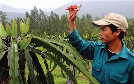 Để người dân thoát nghèo bền vững