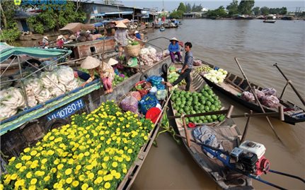 Miền Tây: Nhộn nhịp chợ trên sông