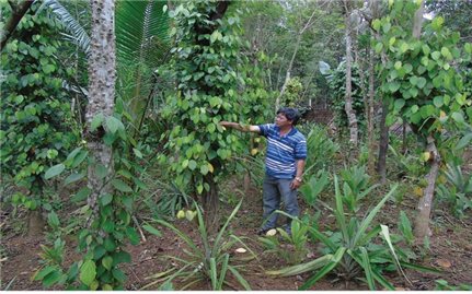 Chính sách dân tộc mang lại sức sống mới cho bản làng