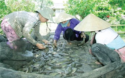 Nhiều giải pháp giúp đồng bào Khmer thoát nghèo