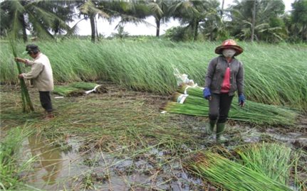 Hộ nghèo giảm nhờ phát triển làng nghề