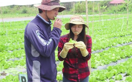 Những nông dân ngoại quốc