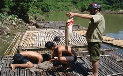 Ứng dụng khoa học công nghệ vào sản xuất ở Quảng Bình: Đang dừng lại ở các mô hình