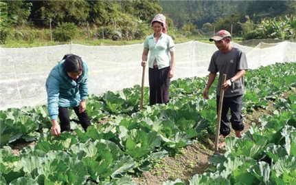 Nâng cao chất lượng cán bộ phụ trách công tác giảm nghèo