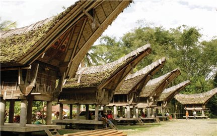 Cuộc sống thanh bình của người Toraja